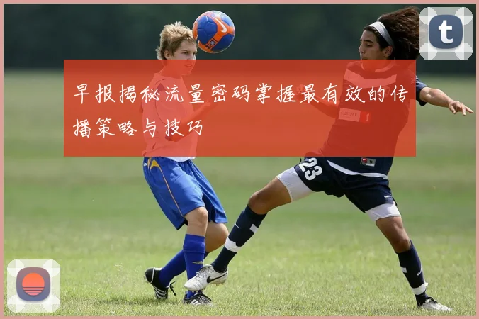 早报揭秘流量密码掌握最有效的传播策略与技巧